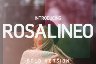 Rosalineo Bold: A Modern Sans Serif for Digital Design